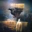 Crows (feat. Lisa Hannigan) - Single