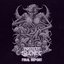 Final Report (Purge) - Single