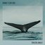 Dancing Whales