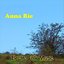 Electro Folk Music