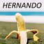 Hernando