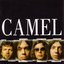 Camel (Master Series)