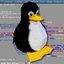 If You See Me Use Ubuntu (Too Late I've Already Deleted Windows)