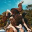 Pile On