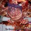 The Meconium Excrement EP