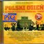 Polski ogień