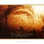 Selected Ambient Works, Volume II (disc 2)