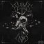 PLANET VOYD (SVDDEN DEATH Remix)