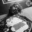 love & drugs slowed