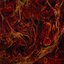 Decay of the Damned