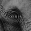 OPHIR