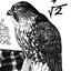 sqrt2