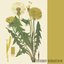 Herbarium VII