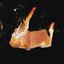 Burn Me Down - Single