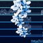 everlasting winter blossom