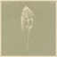 Agosto - EP