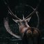 Boreal