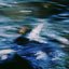 Waterline