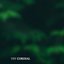 Cordial - Single
