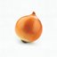 onion [Clean] [Clean]