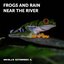 Frogs and Rain near the River