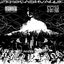 Rally King - Single