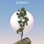 The Past - Single