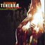Gesualdo: Tenebrae Responses for Good Friday (Responsoria, 1611)