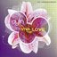 Viva The Love
