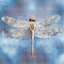 Faceless Angel