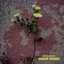 fabric presents Mount Kimbie (Mixed)