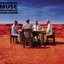 Black Holes And Revelations (Bonus DVD)