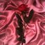This Is for You - Single