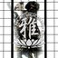 雅 -THIS IZ THE JAPANESE KABUKI ROCK-