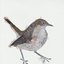 Nightingale Wake Up Call