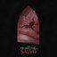 Salvo [Explicit]