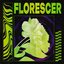 Florescer
