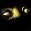 I See You
