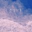 Hurt for Me (Piano & Strings)