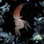 ༡࿌ Child࿌rage࿌fairy༡ ༡࿌ - Single