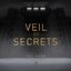 Veil of Secrets