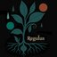 Regulus