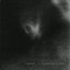 Phantom Limbs