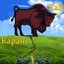 Каранi
