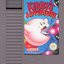 Kirby's Adventure