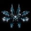 Enigma