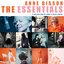 Anne Bisson The Essentials