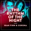 The Rhythm Of The Night