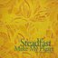 Steadfast Make My Heart - a Christ Church Worship Album