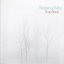 Bare Trees